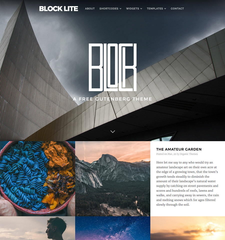 Block Lite – A Free Gutenberg Theme For WordPress